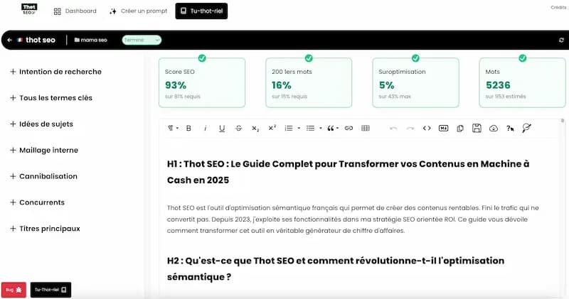 Aperçu de l'interface de Thot SEO lors d'une analyse